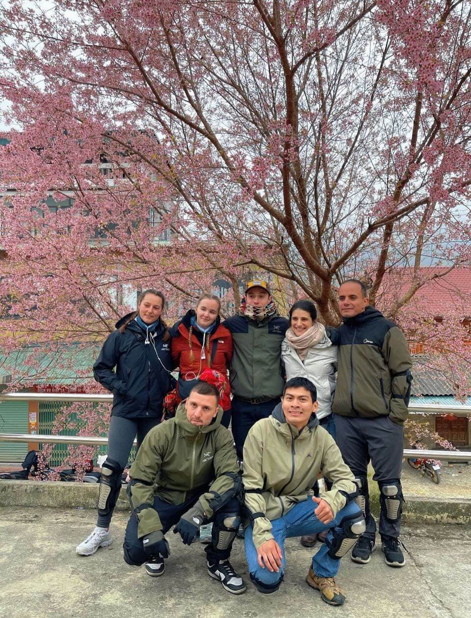 Cherry Blossoms in Ha Giang: A Complete Guide to Chasing Peach Blossoms in Northern Vietnam