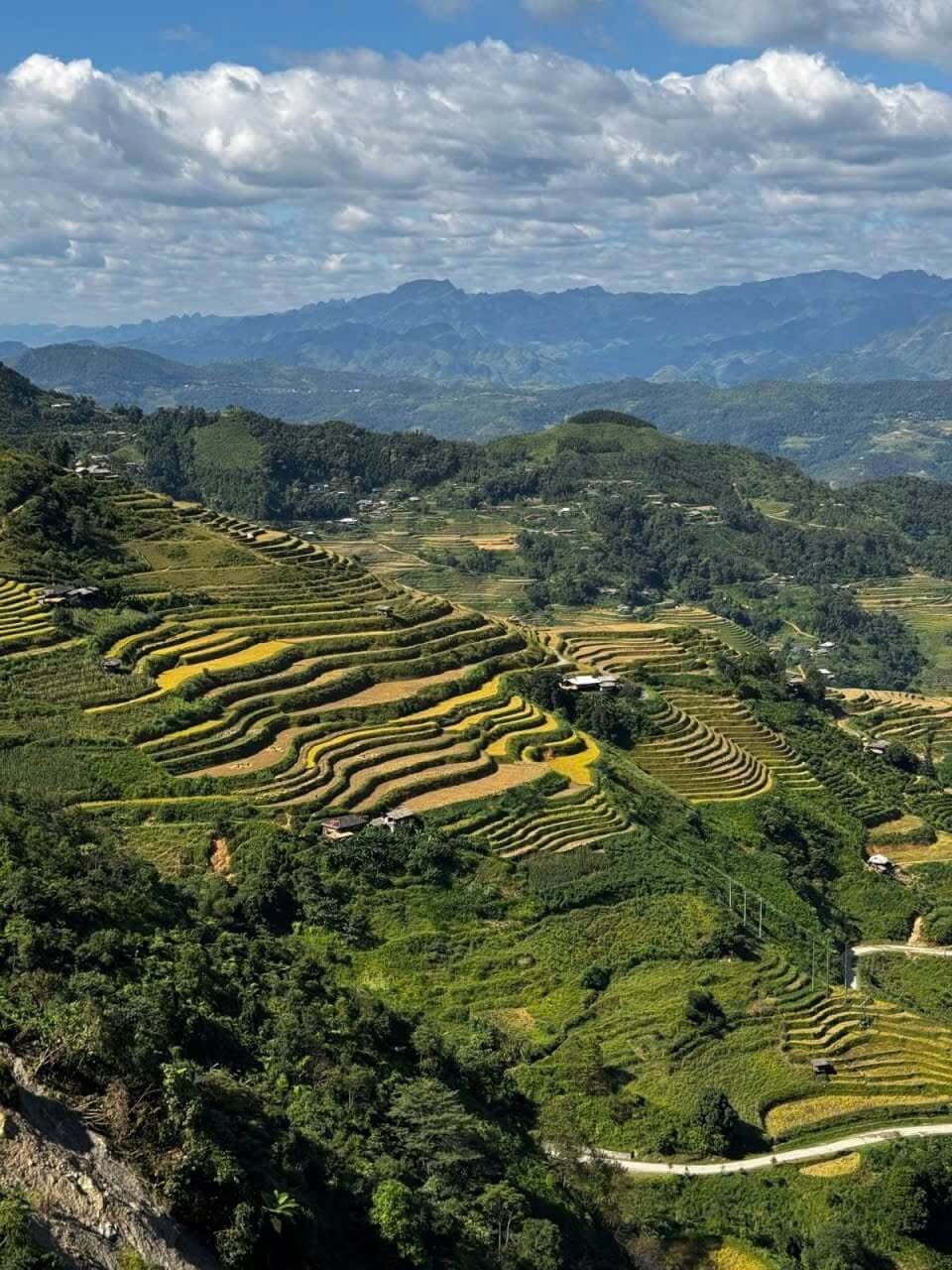 Hoang Su Phi Rice Terraces: Discover Ha Giang’s Most Breathtaking Golden Landscapes
